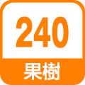 果樹240