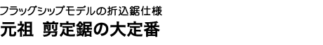 閃光の切れ味。短刀に込めた匠の技、ここに再現。