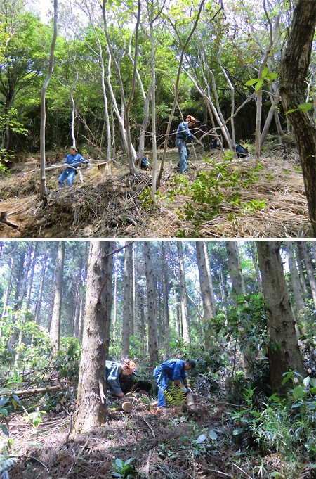 茨城県土浦市　宝鏡山整備隊 様から