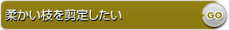 柔かい枝を剪定したい