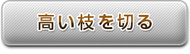 高い枝を切る