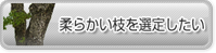 柔らかい枝を選定したい