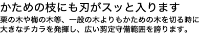 100年の匠の技術がここに終結。