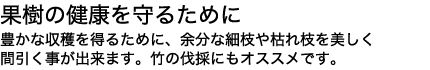 果樹が喜ぶサムライ鋸。