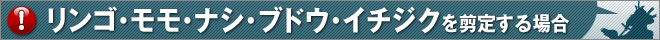 リンゴ・モモ・ナシ・ブドウ・イチジクを剪定する場合