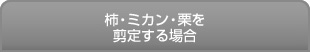 柿・ミカン・栗を剪定する場合