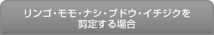 リンゴ・モモ・ナシ・ブドウ・イチジクを剪定する場合