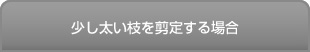 少し太い枝を剪定する場合