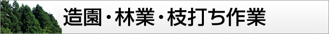 造園・林業・枝打ち作業