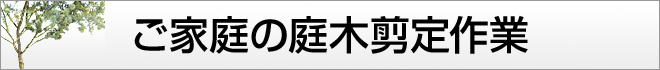 ご家庭の庭木剪定作業